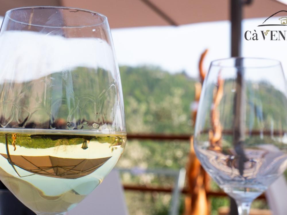 vini di pronta beva fresch,i degustazione Cà Vendalis