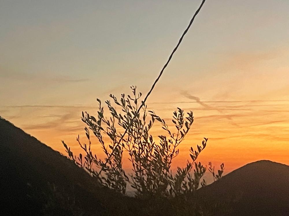 location overlooking the Euganean Hills