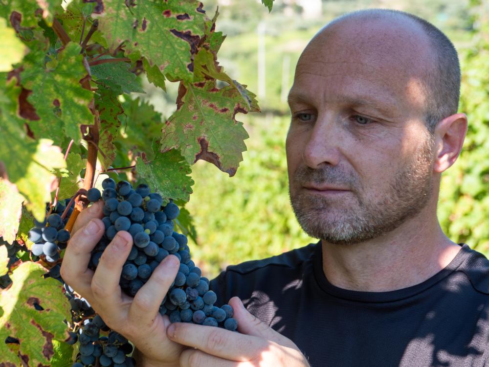 mollo tutto e cambio vita: Federio Sambinello