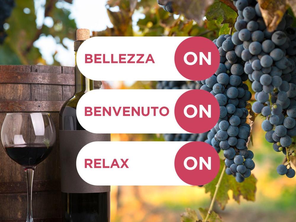 degustazione al tramonto colli euganei