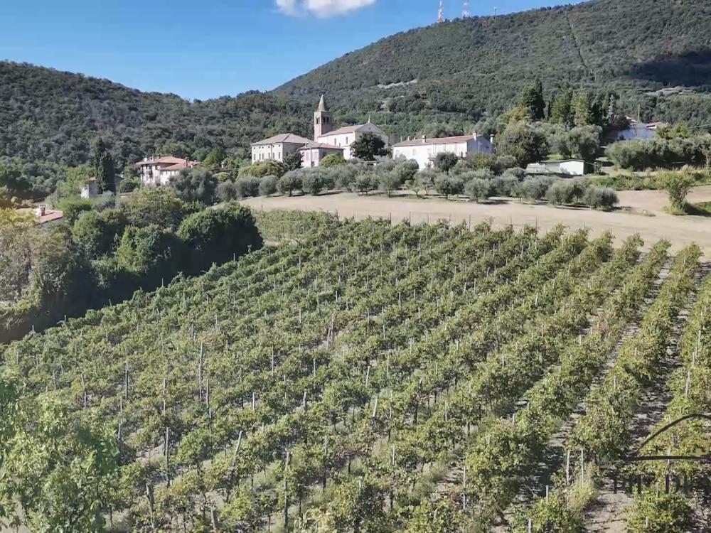 aperitivi, cantina, location per eventi veneto