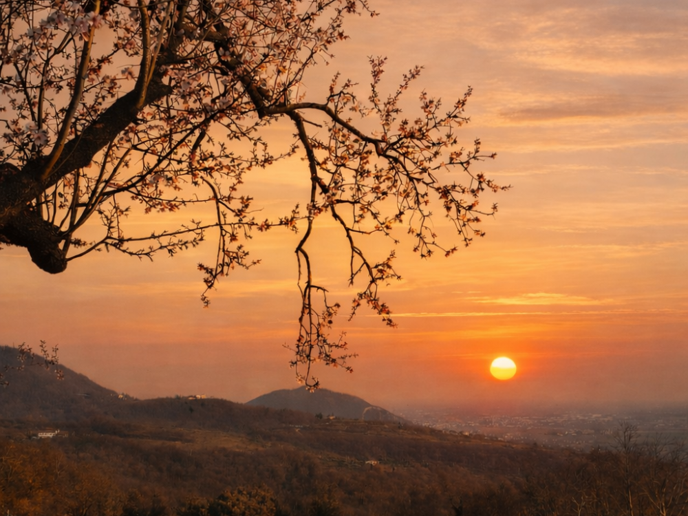 aperitivo romanrico veneto