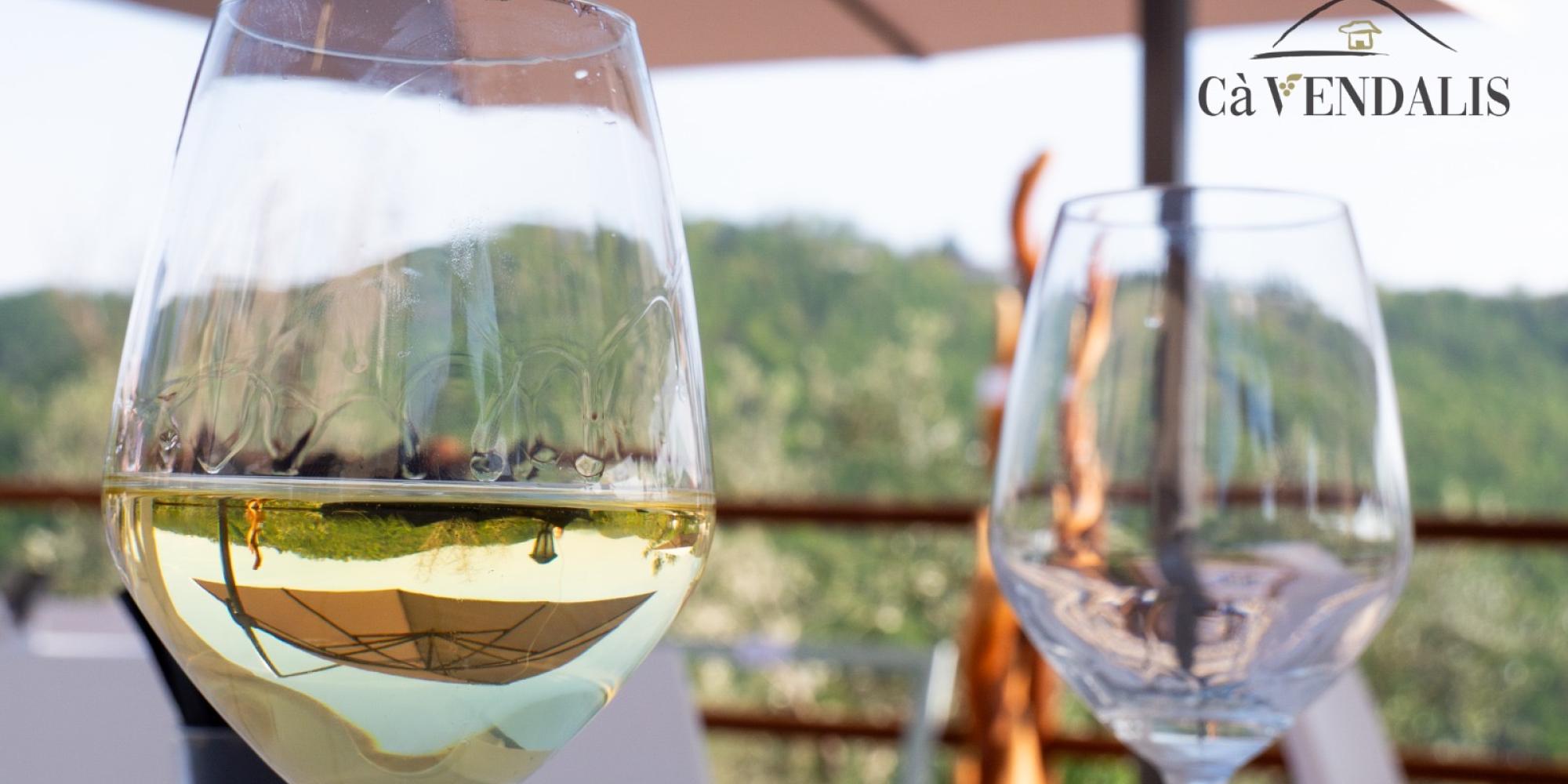 vini di pronta beva fresch,i degustazione Cà Vendalis