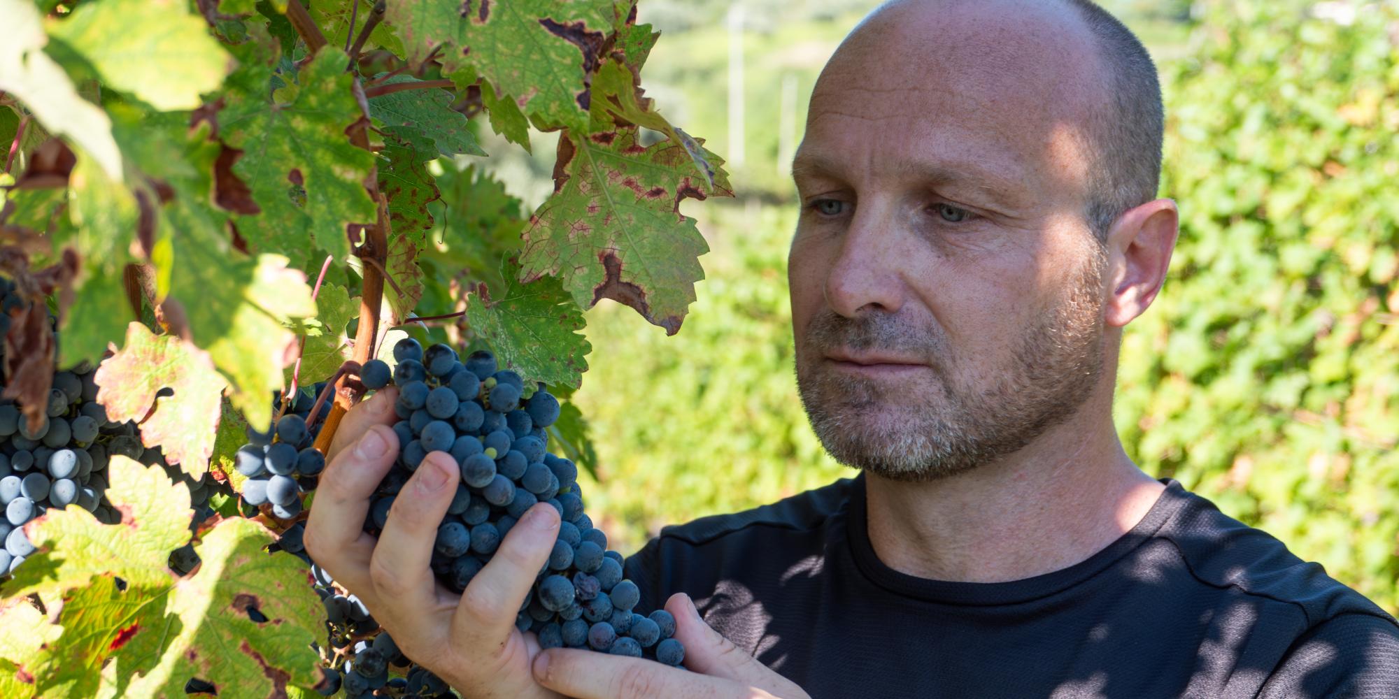 mollo tutto e cambio vita: Federio Sambinello