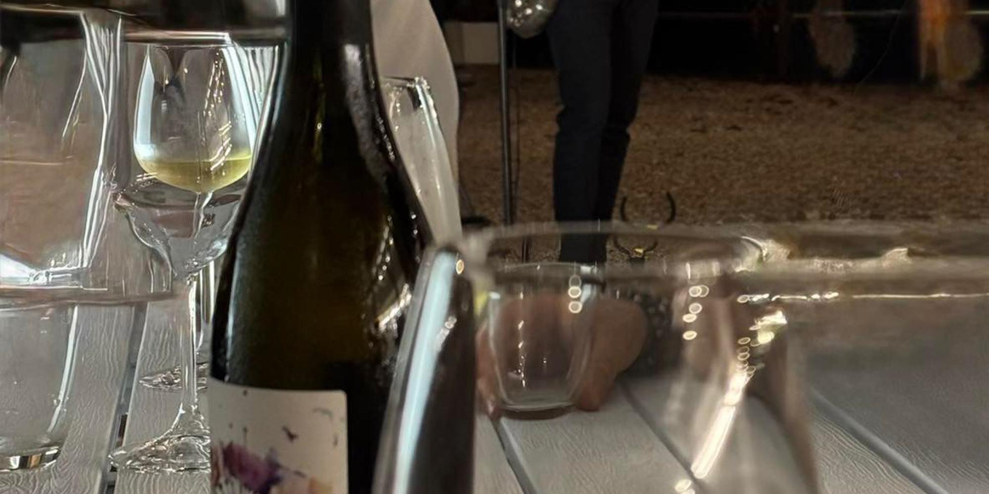 tasting wine colli euganei