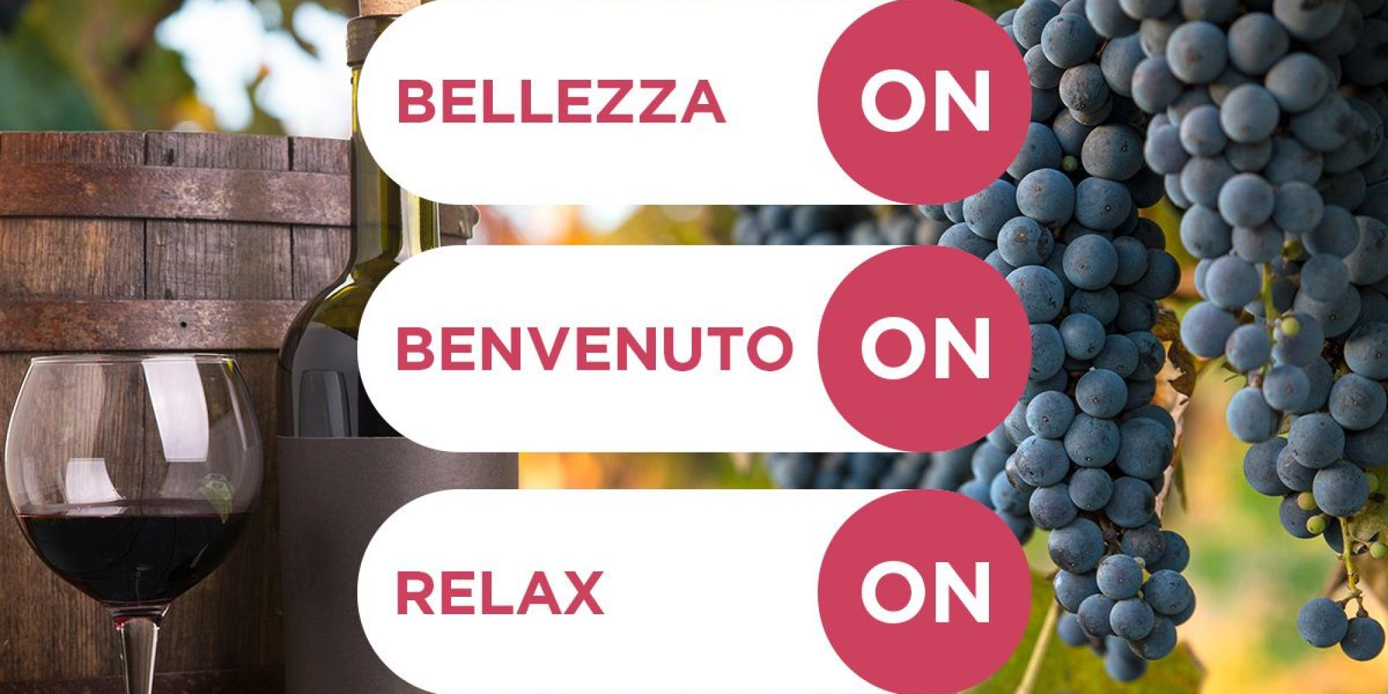 degustazione al tramonto colli euganei