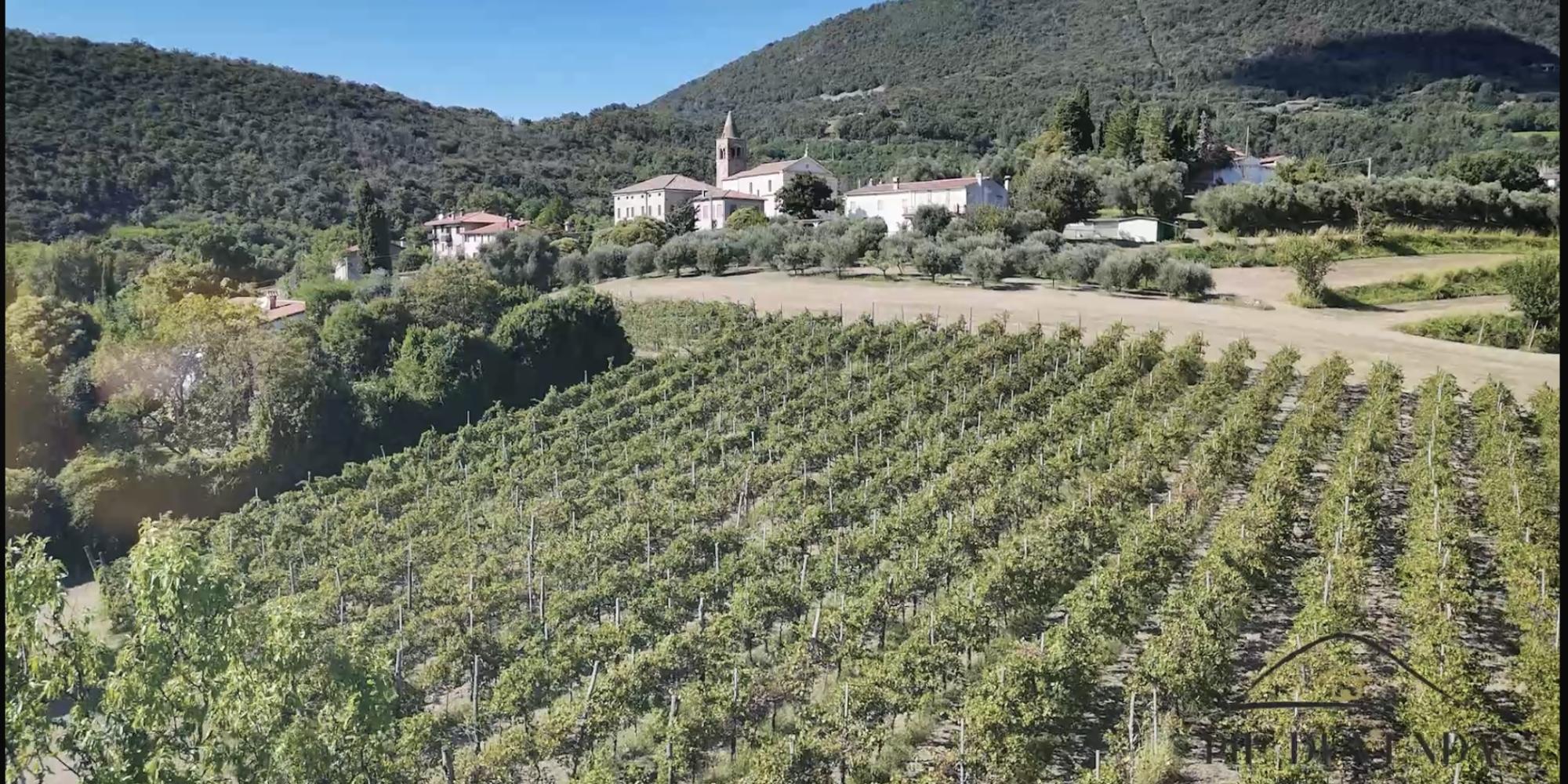 aperitivi, cantina, location per eventi veneto