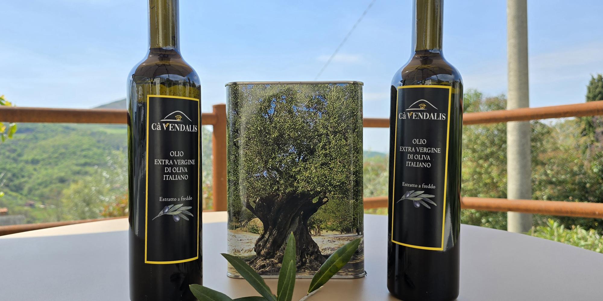 olio extra vergine d'oliva veneto