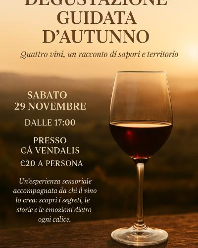 DEGUSTAZIONE VINI DEI COLLI EUGANEI