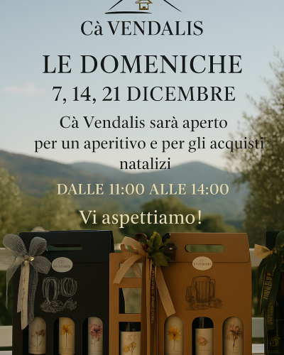 Ceste Natalizie nei colli euganei, regali di natale, aperitivi