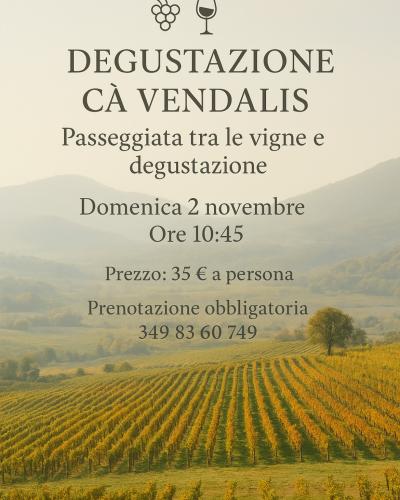 Manzoni bianco igt, vini artigianali, merlot, cabernet sauvignon, prosecco Doc dei colli euganei, cà Vendalis, tradizione, natura, monte venda