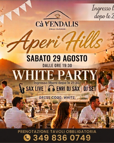 Aperitivo vin vista Colli Euganei